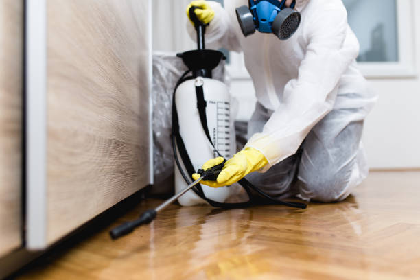 Wasp Removal Services in Thunderbolt, GA