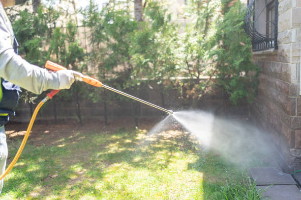 Professional Pest Control in Thunderbolt, GA