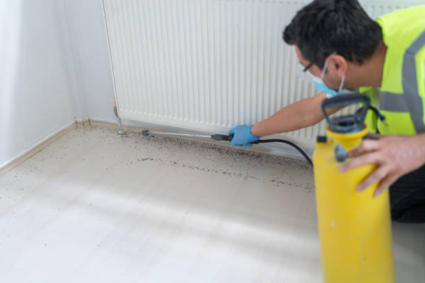 Best Affordable Exterminators  in Thunderbolt, GA