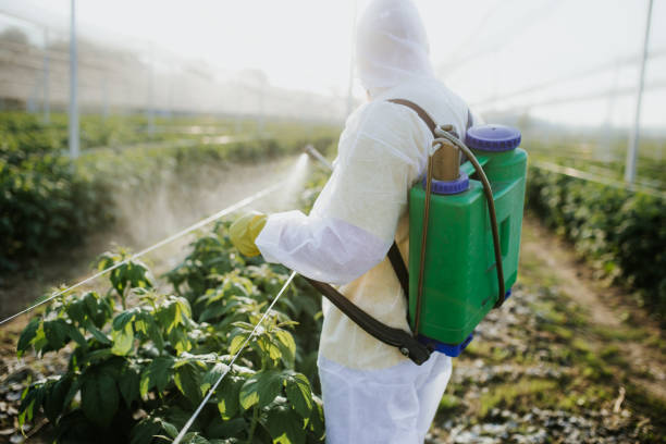 Best Ant Control Services  in Thunderbolt, GA